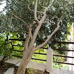 Apartment By The Sea Pisak, Omis - 1014